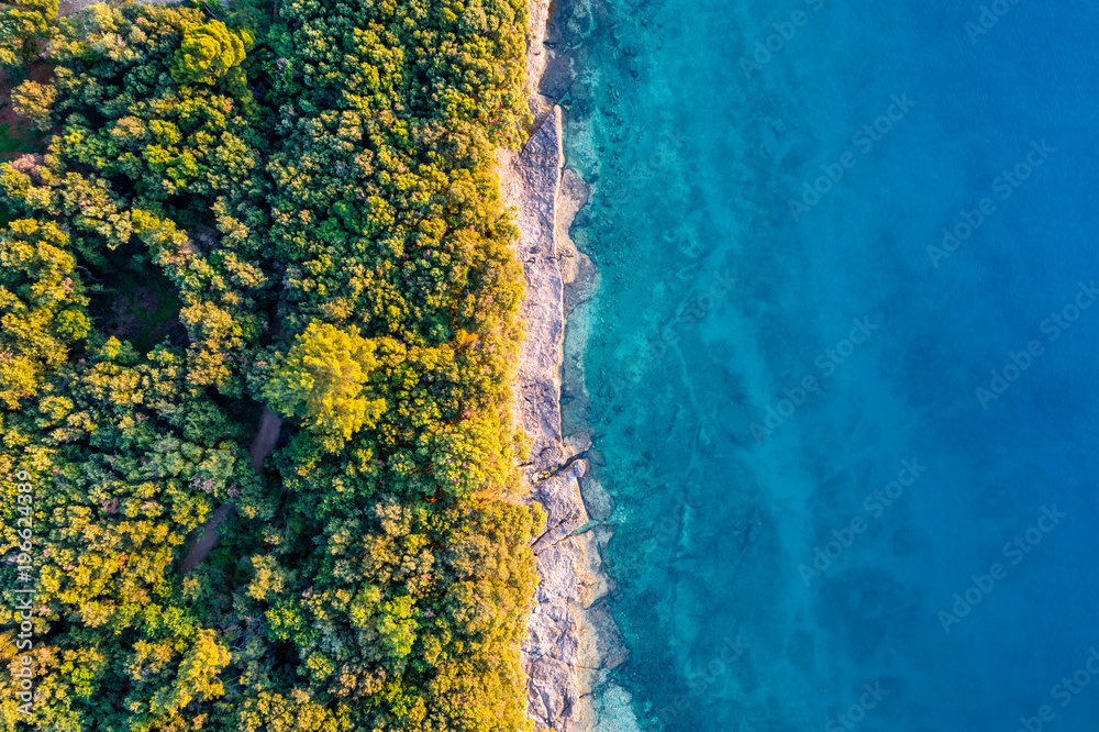 Coastal area with blue clear water and forest on land - aerial view taken by drone - obrazy, fototapety, plakaty 