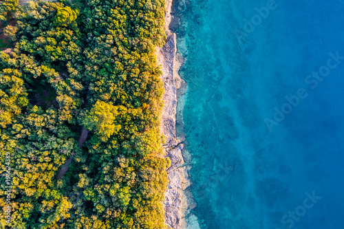 Coastal area with blue clear water and forest on land - aerial view taken by drone