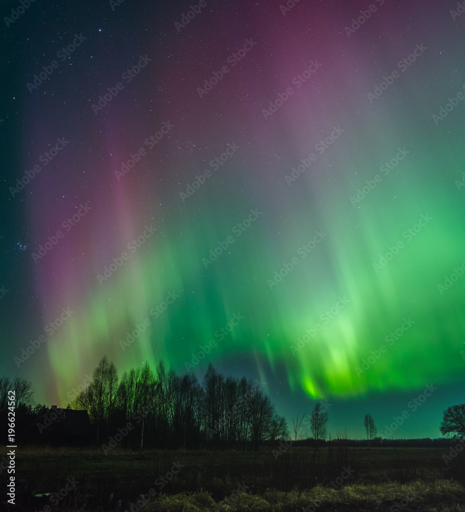 Green and purple Northern Lights