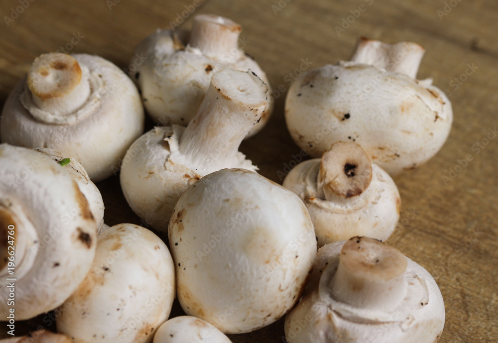 white button Common mushroom (Agaricus bisporus) on wooden table background white button Common mushroom (Agaricus bisporus) on wooden table background