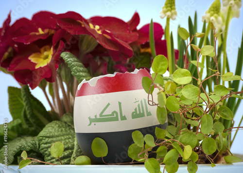 Tableau sur toile The flag of Iraq on an cracked egg in a floral scene.(series)