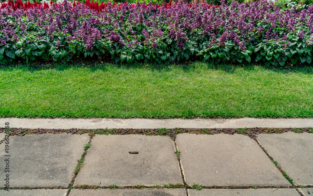 Concrete Pathway in garden Concrete Pathway in garden
