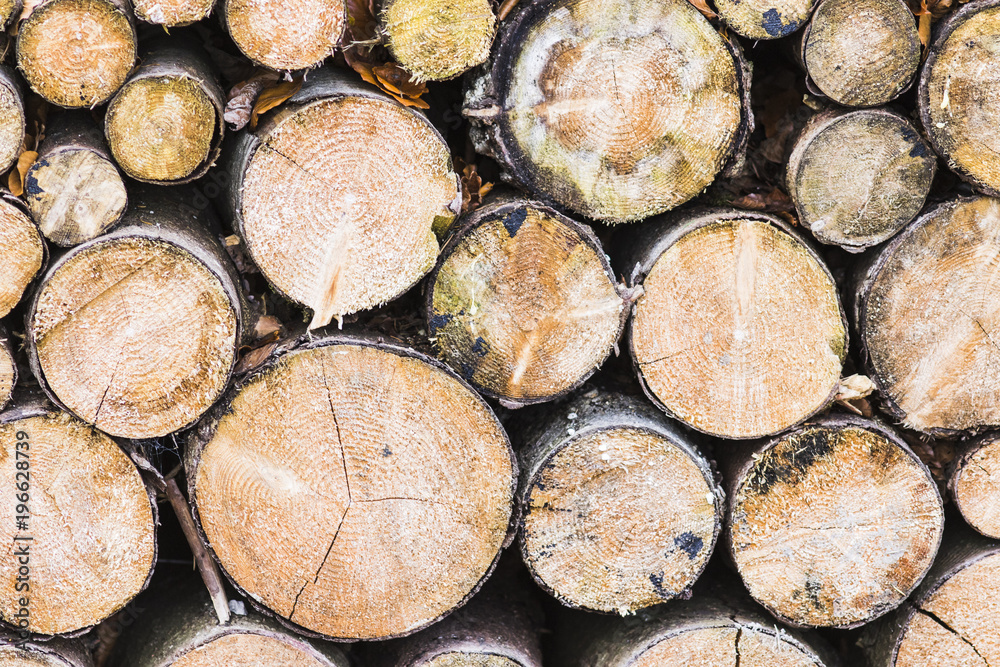logs wooden neatly stacked as a background and natural texture. logs wooden neatly stacked as a background and natural texture.