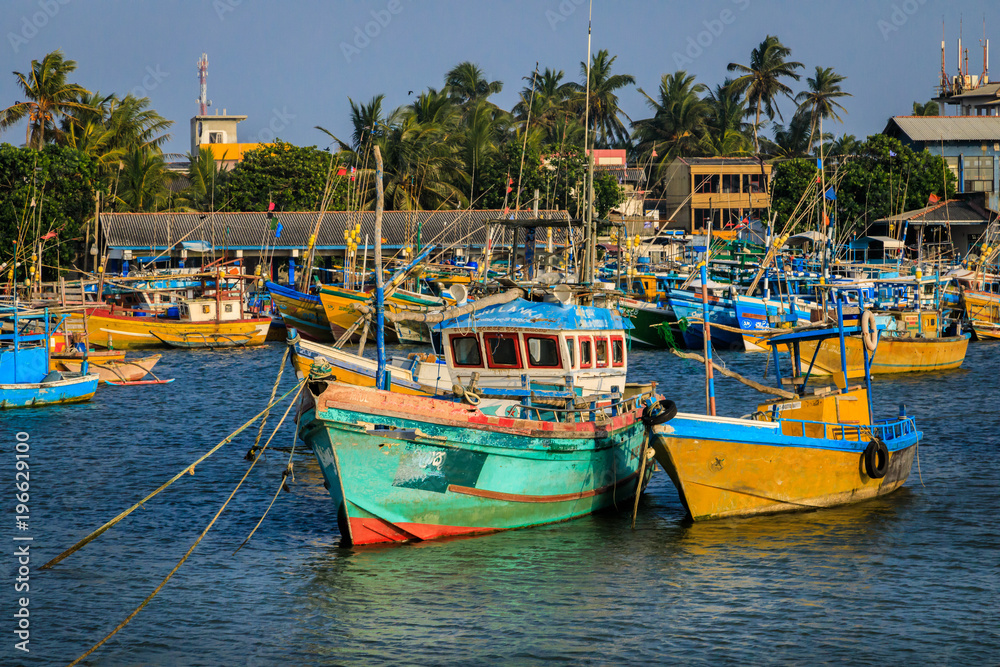 Bunte Fischerboote im Hafen von Hikkaduwa, Sri Lanka