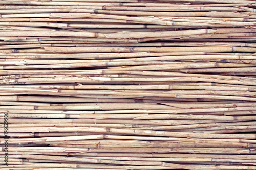 Dry reed background
