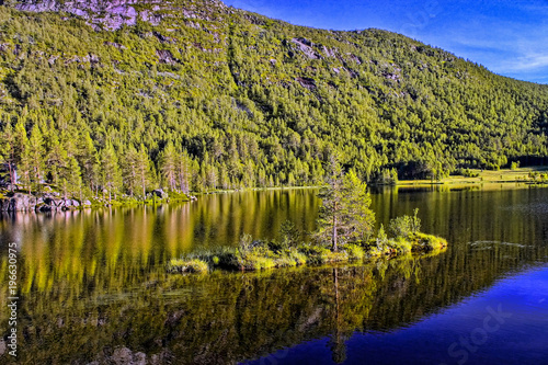 The forest reflects in the lake, Norway, Scandinavia