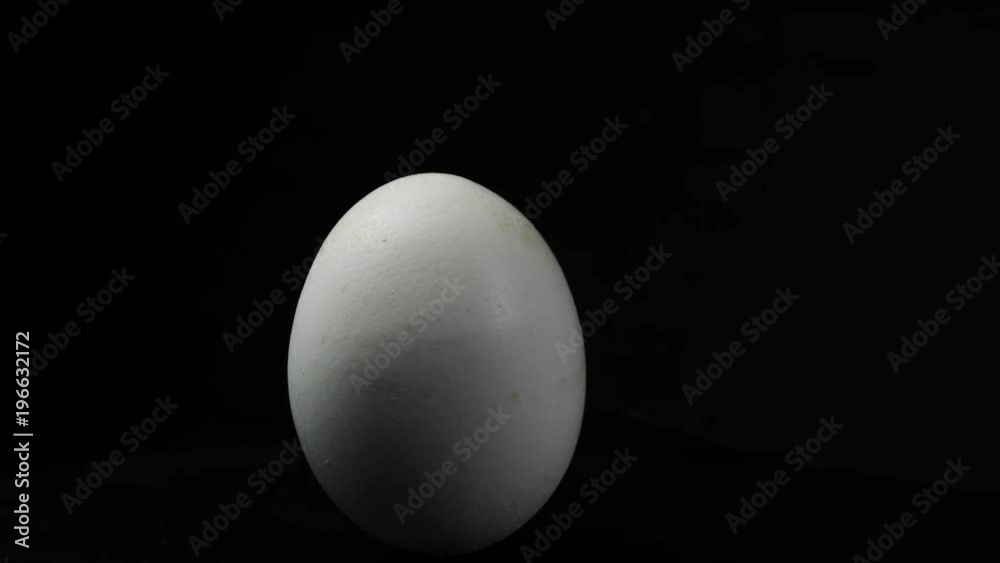 Looped movement Egg on black background Looped movement Egg on black background