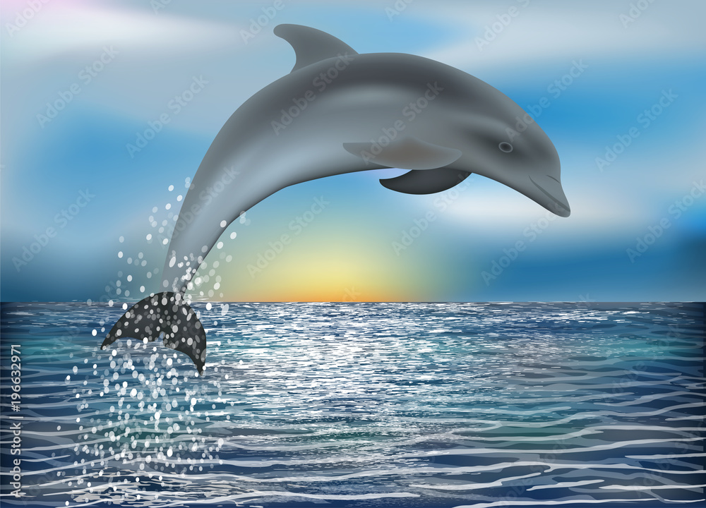 Naklejka premium Dolphin background. vector illustration