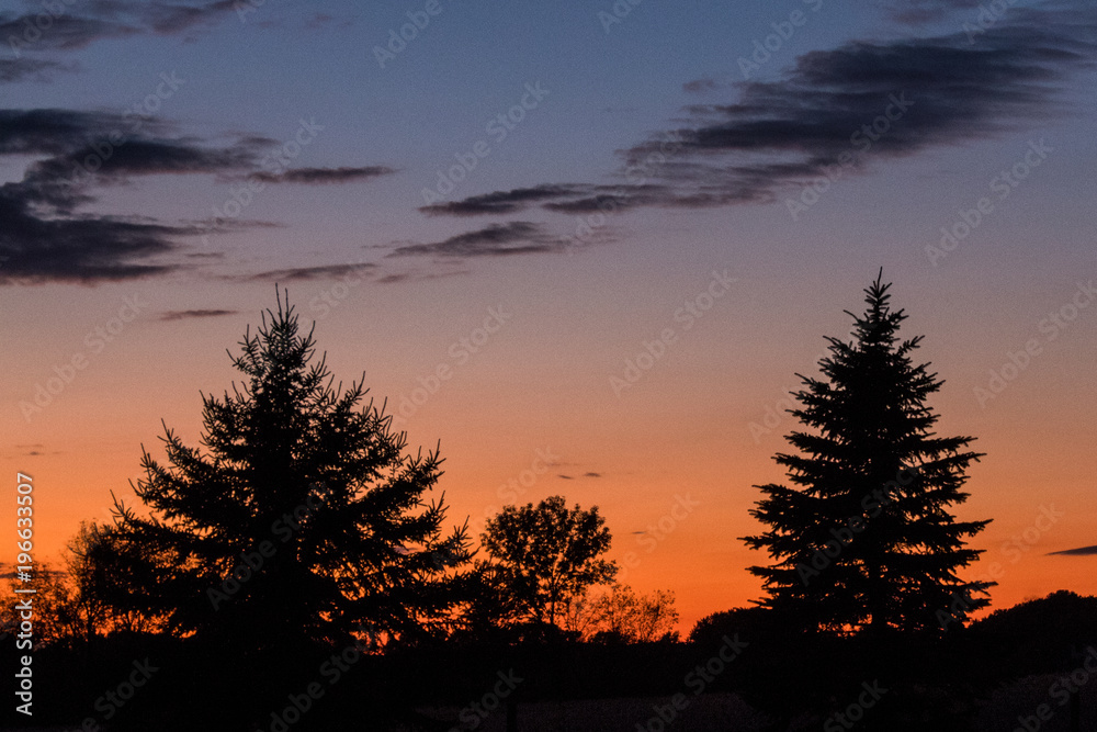 Silhouette of Pine Trees, Orange and Blue Sky and Horizon, Cloud Photography