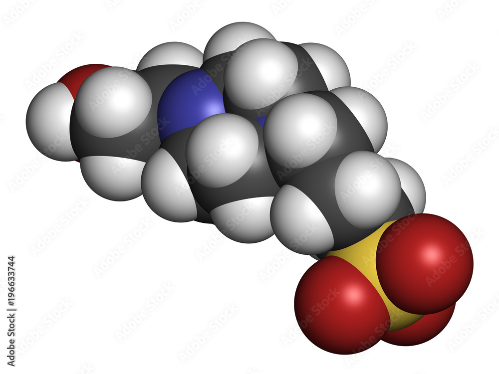 HEPPS buffering agent molecule. 3D rendering. Atoms are represented as spheres with conventional color coding: hydrogen (white), carbon (grey), oxygen (red), nitrogen (blue), sulfur (yellow). HEPPS buffering agent molecule. 3D rendering. Atoms are represented as spheres with conventional color coding: hydrogen (white), carbon (grey), oxygen (red), nitrogen (blue), sulfur (yellow).