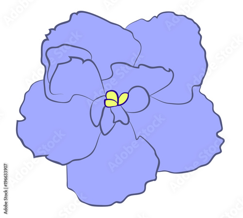 Vector illustration, flat terry violet Saintpaulia flower isolated on white background