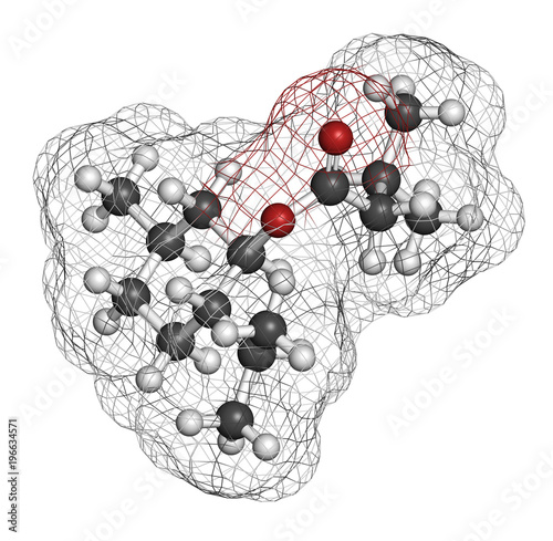Menthyl isovalerate drug molecule. 3D rendering. Atoms are represented as spheres with conventional color coding: hydrogen (white), carbon (grey), oxygen (red). photo