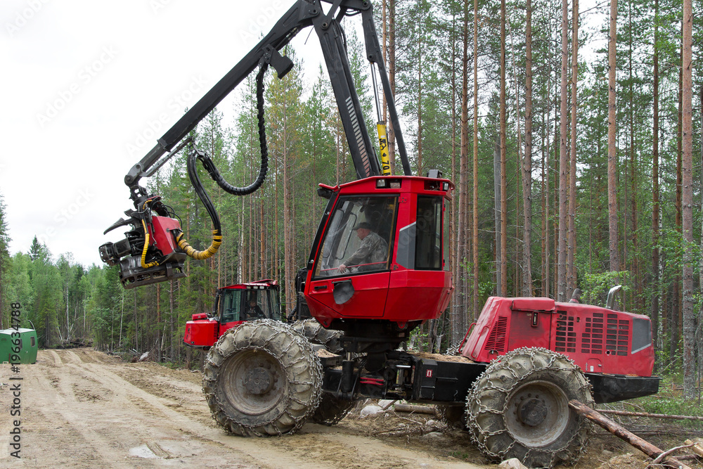 Harvester machine working in a forest leaving for the forest track. Wood industry in Russia Harvester machine working in a forest leaving for the forest track. Wood industry in Russia