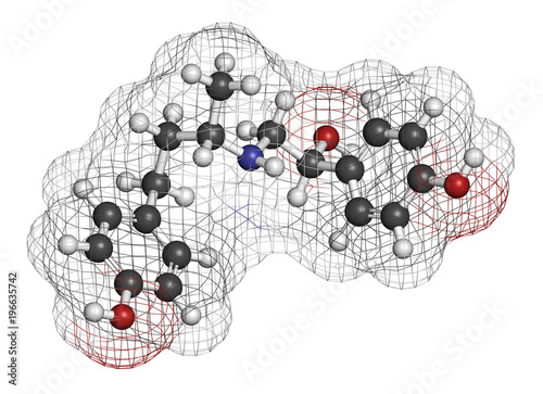 Ractopamine feed additive molecule. 3D rendering. Atoms are represented as spheres with conventional color coding: hydrogen (white), carbon (grey), oxygen (red), nitrogen (blue). photo