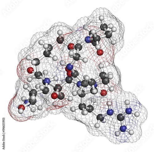 Selank nootropic and anxiolytic peptide drug molecule. 3D rendering. Atoms are represented as spheres with conventional color coding: hydrogen (white), carbon (grey), nitrogen (blue), oxygen (red). photo