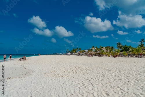 panorama of the Eagle Beach of Aruba Caribbean island with white sand and palm trees in the tropical scenery of the Netherlands Antilles