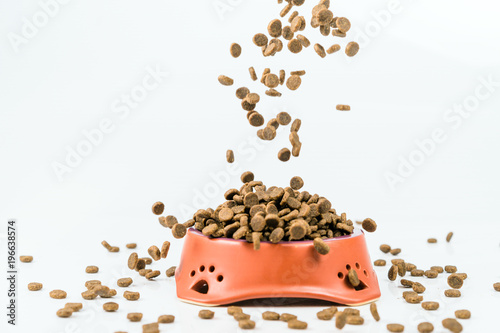 Ceramic bowl with dried pet food on white background