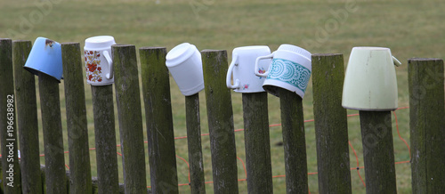cups on the fence