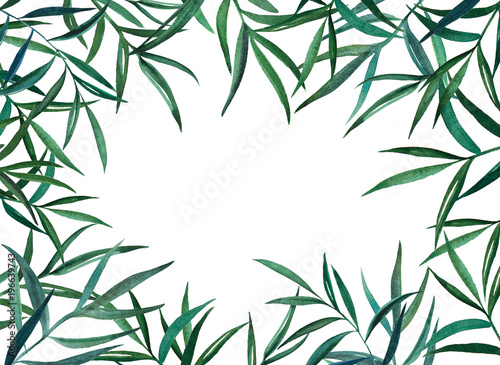 Fototapeta Naklejka Na Ścianę i Meble -  Hand drawn watercolor illustration of oblong leaves on branches. Decorative graphic frame for wedding branding, invitations, gift card. Isolated on white background. Place for text.