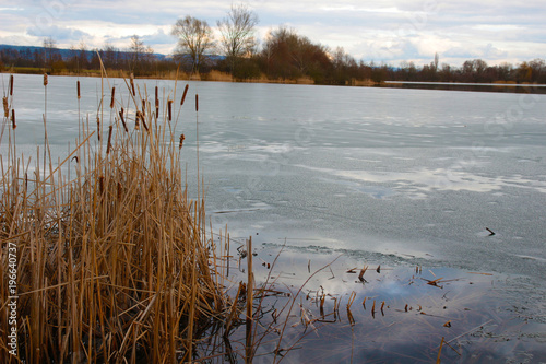 frost winter lake