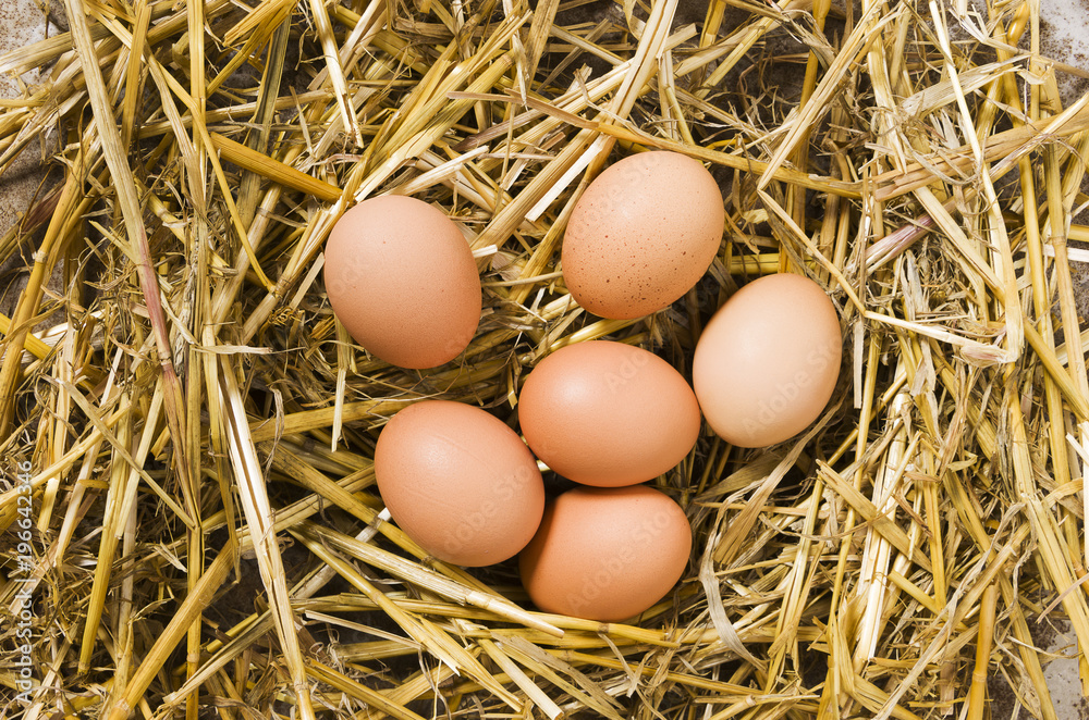 Fresh farm eggs