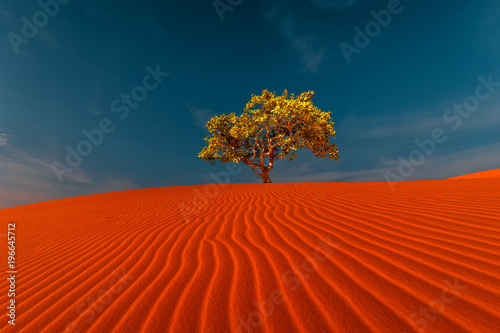 Stunning view of rippled sand dunes and lonely tree growing under amazing blue sky at drought desert landscape. Global warming concept. Nature background photo