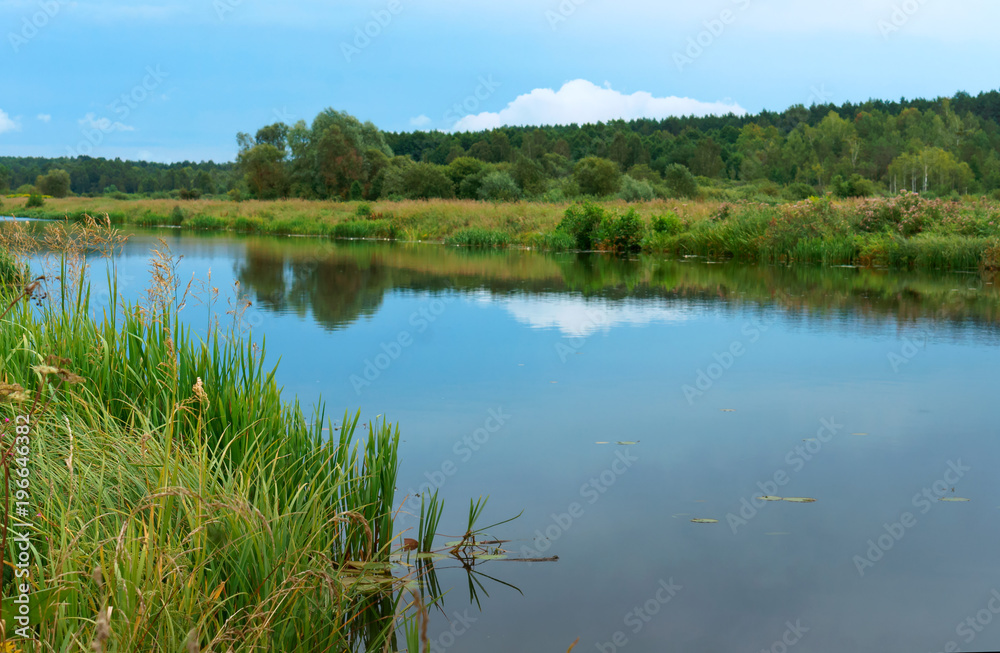 Lake or fishing pond. Landscape a beautiful pond. Forest natural pond