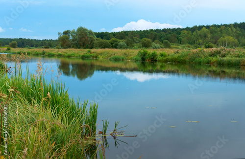 Lake or fishing pond. Landscape a beautiful pond. Forest natural pond