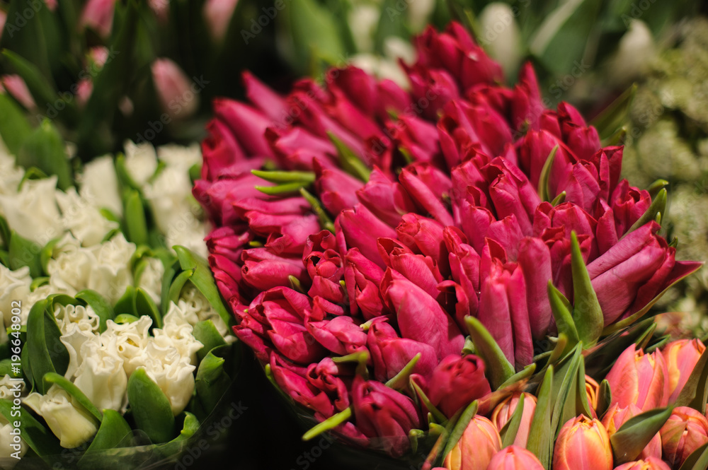 Top view of large bouquets of white and pink tulips Top view of large bouquets of white and pink tulips