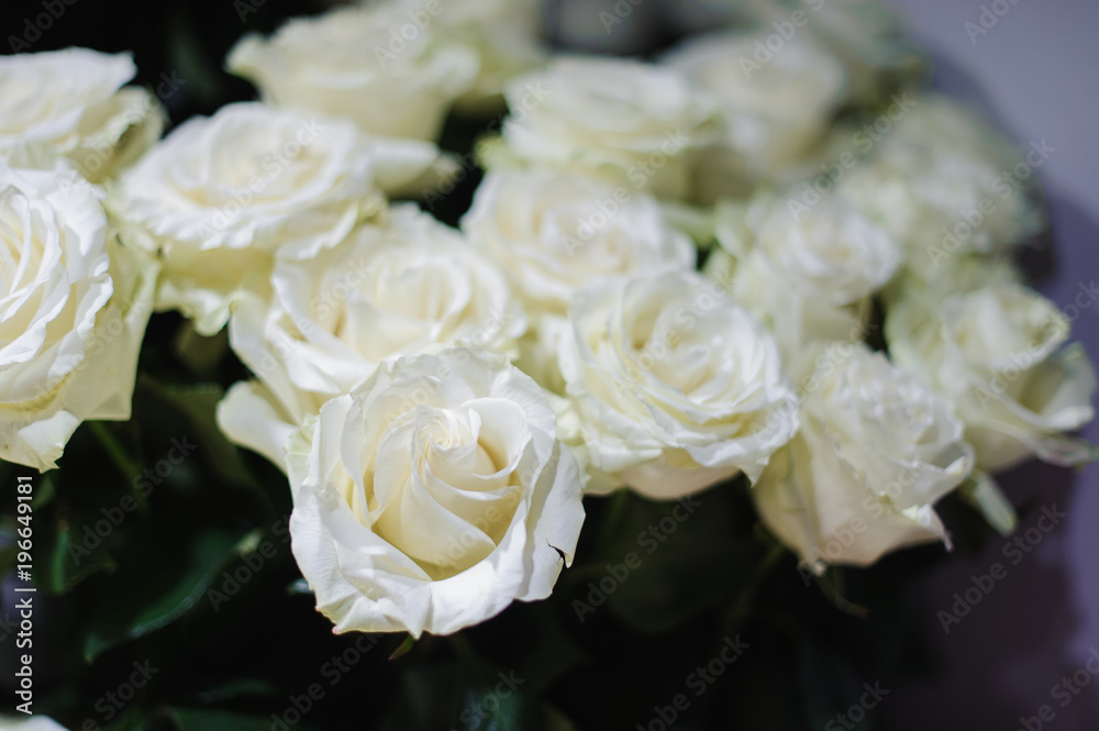 Close up photo of tender white roses Close up photo of tender white roses