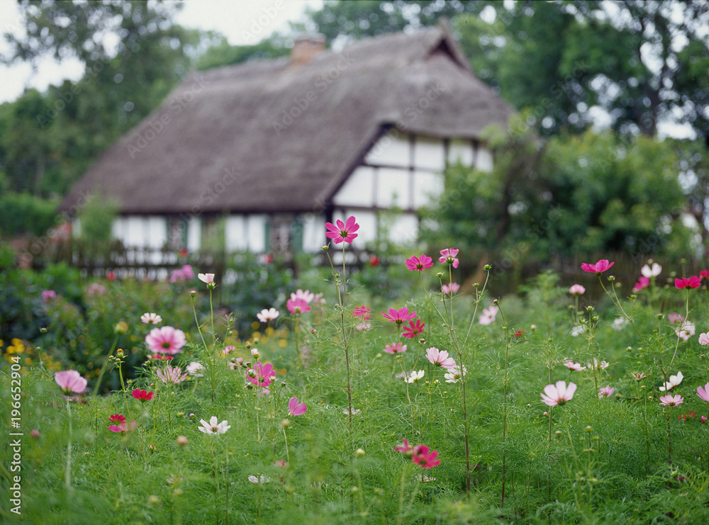 flowers and old wooden house in Kluki, Poland flowers and old wooden house in Kluki, Poland