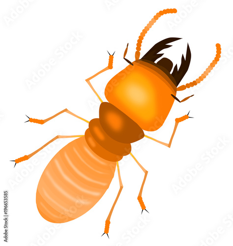 termite with white back ground,cartoon style,isolated vector illustration