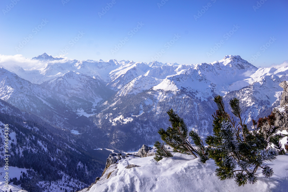 Blick in die Allgäuer Alpen