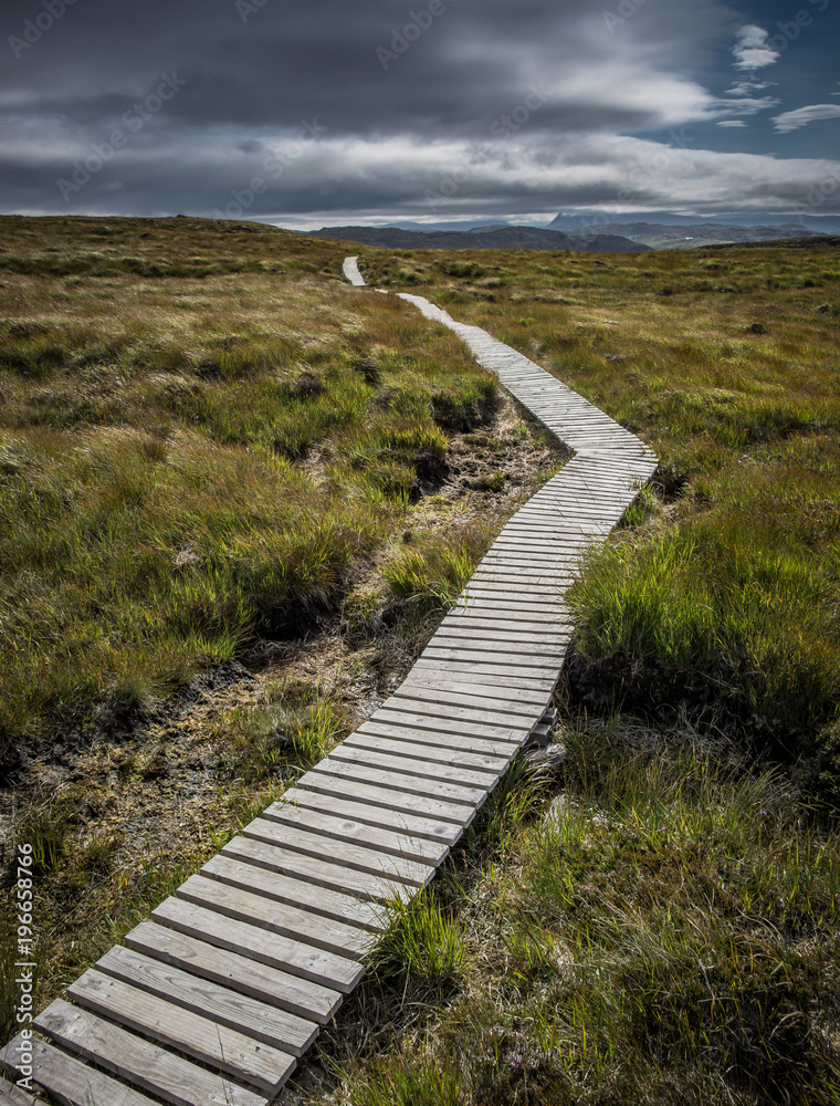 Schmaler Pfad aus Holz durch die Landschaft auf Handa Island in Schottland