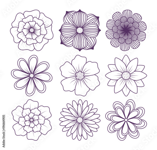 icon set of beautiful flowers over white background, colorful design. vector illustration