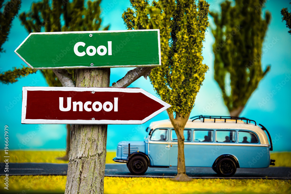 Fototapeta premium Schild 308 - Cool