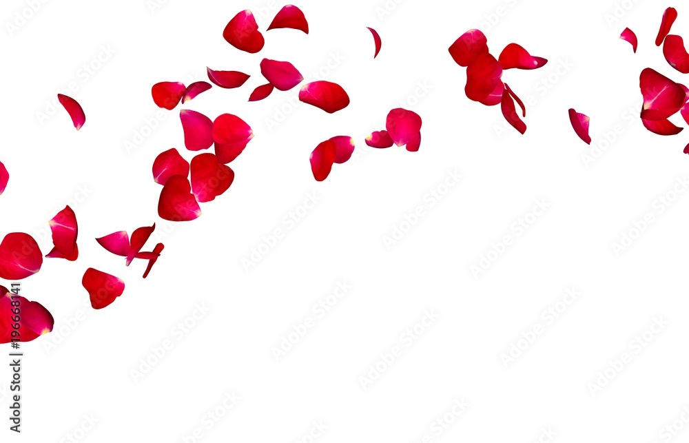 Red rose petals fly in a circle. The center free space for Your photos or text Red rose petals fly in a circle. The center free space for Your photos or text