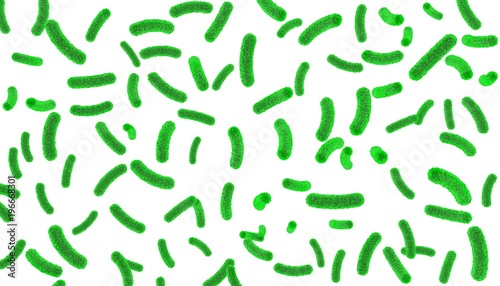 Green bacteria inside the body on a white isolated background