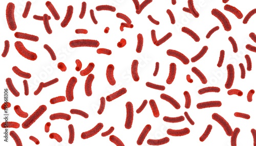 Red bacteria inside the body on a white isolated background