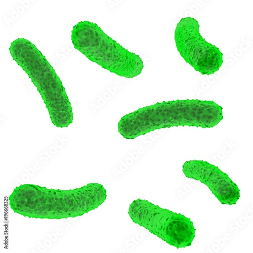 Green bacteria inside the body on a white isolated background