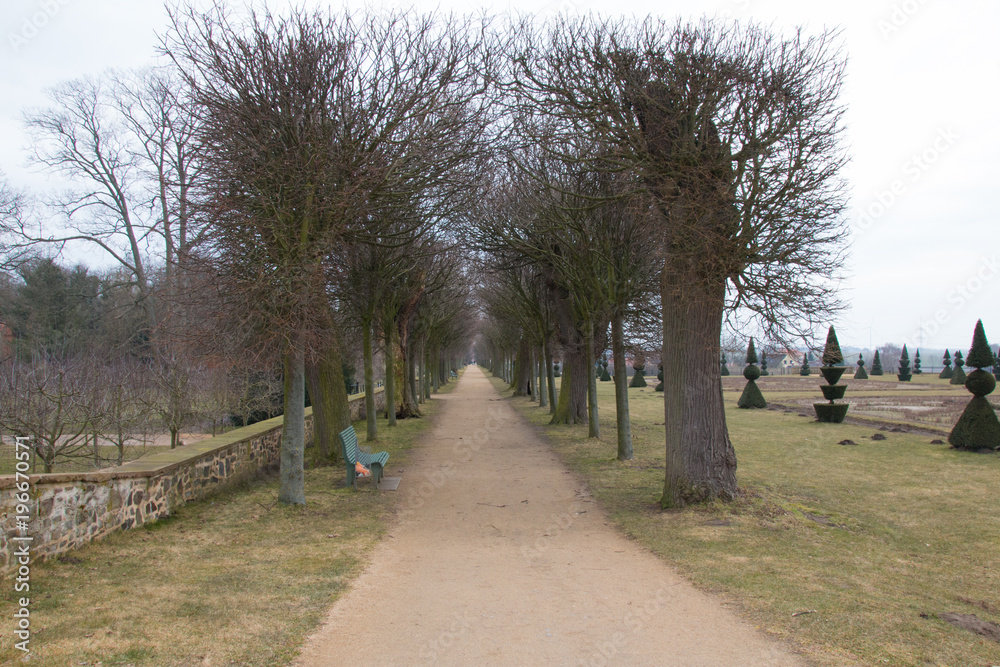 View of an old tree-lined avenue in the park of Hundisburg Castle, Germany.