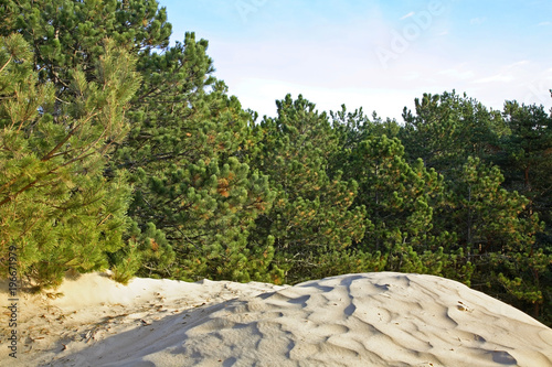 Landscape near Ustka. Poland