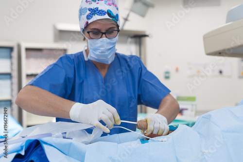 INTERVENTIONAL NEURORADIOLOGY photo