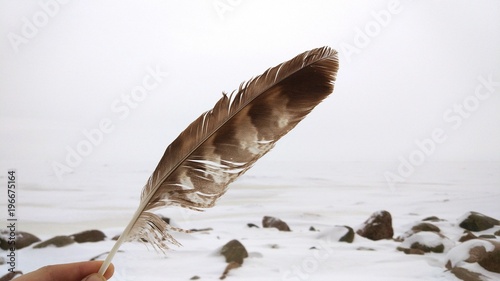 Owl feather in hand, winter snow, white background
