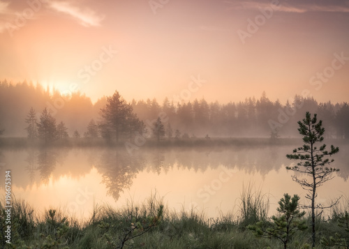 Foggy pond in the morning