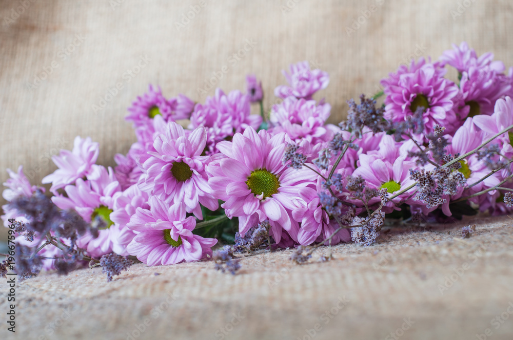 Fototapeta premium Violet flowers on beige background with fabric