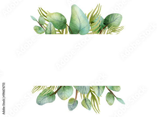 Watercolour banner with tropical plants on white background.