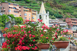 Summer red Bougainvillea flowers in Riomaggiore, Cinque Terre