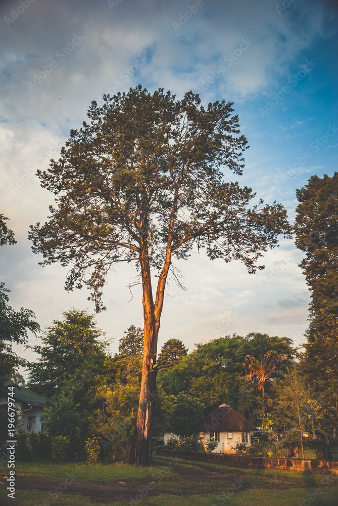 Obraz premium Scenes from the Drakensberg