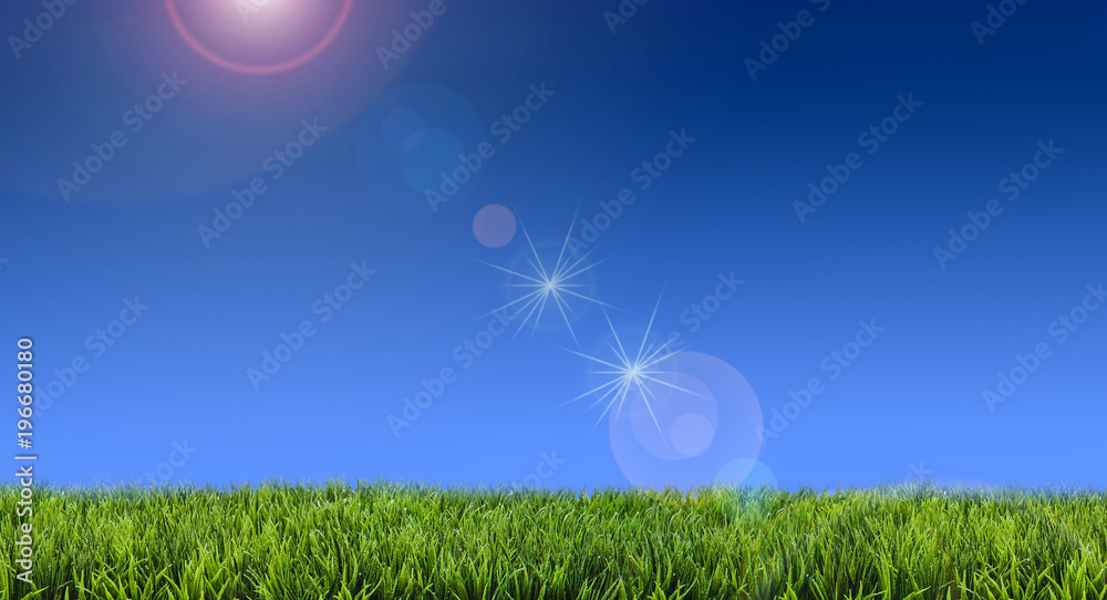 Obraz premium Summer Lawncare Flare